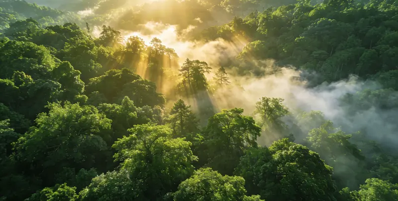 广州肺癌靶向120基因检测（组织）图片1