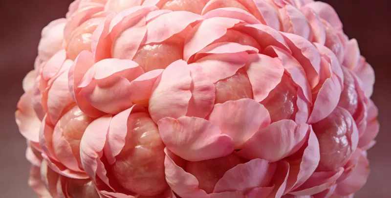 广州BRCA1/2乳腺癌卵巢癌基因检测图片1